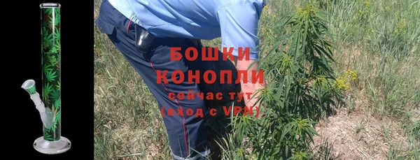 PSILOCYBIN Нея