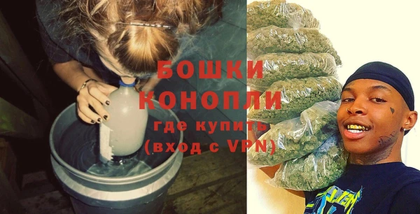 дмт Новозыбков