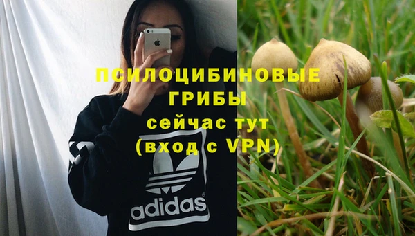 PSILOCYBIN Нея