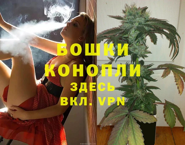 PSILOCYBIN Нея