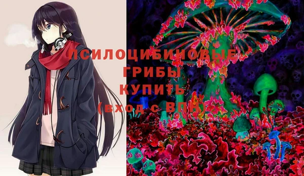 дмт Новозыбков