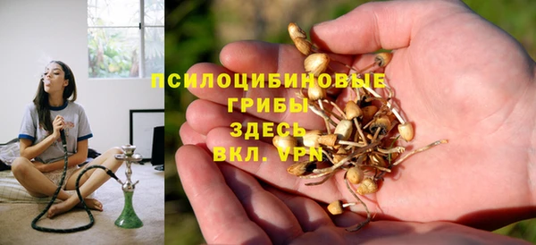 PSILOCYBIN Нефтегорск