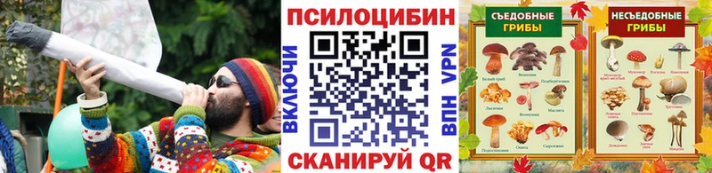 купить наркотики сайты  Омутнинск  Галлюциногенные грибы мухоморы 